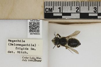 Media type: image;   Entomology 790031 Aspect: Labels
